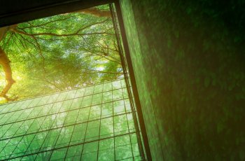 A view from a modern building, capturing a lush green forest.