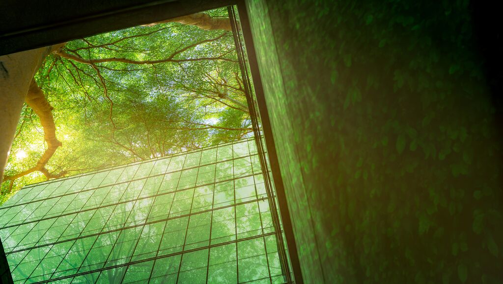 A view from a modern building, capturing a lush green forest.